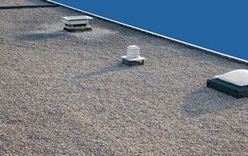 flat roofing Delves, County Durham