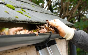 gutter cleaning Delves, County Durham