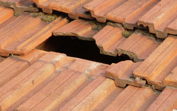 roof repair Delves, County Durham