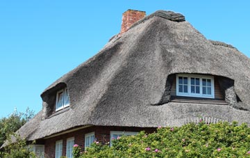 thatch roofing Delves, County Durham